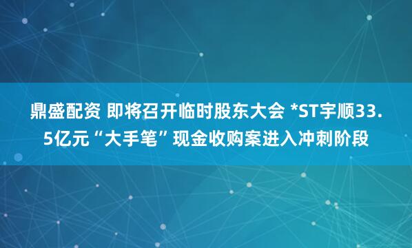 鼎盛配资 即将召开临时股东大会 *ST宇顺33.5亿元“大手笔”现金收购案进入冲刺阶段